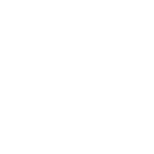 Ellie NZ